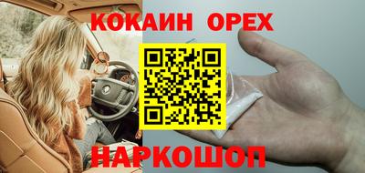спайс Кингисепп