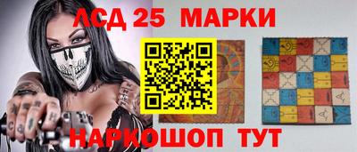 спайс Кингисепп