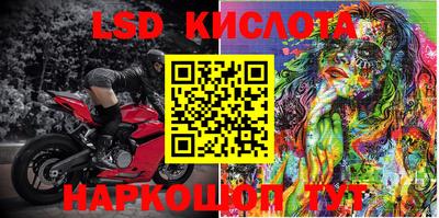 спайс Кингисепп