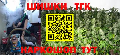 спайс Кингисепп
