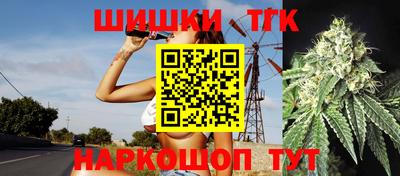 спайс Кингисепп