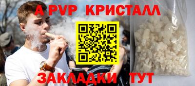 спайс Кингисепп