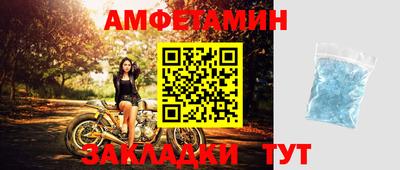 спайс Кингисепп